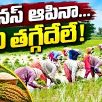 వరి వద్దు.. ఈ సర్కార్‌ నోటి వెంటా ఇప్పుడిక అదే మాట..! కరువు ప్రభావం.. సాగునీటికి కటకట..!