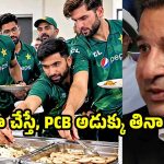 మా పాకిస్తాన్ ప్లేయర్లు కోతుల కంటే దారుణం… వాటి కంటే ఎక్కువ అరటి పండ్లు మెక్కుతున్నారు !