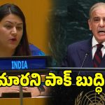 ఐక్యరాజ్యసమితిలో పాకిస్థాన్ ప్రధానికి ఊహించని షాక్.. గట్టి కౌంటర్ ఇచ్చిన భారత్!