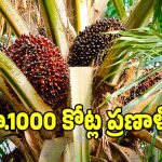 తెలంగాణ రైతులకు గుడ్ న్యూస్.. ఎకరానికి రూ.46,250 సబ్సిడీ..!
