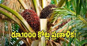 Thursday Movies in Tv : మూవీ లవర్స్ కు పూనకాలు పక్కా.. టీవీల్లోకి హిట్ సినిమాలు...