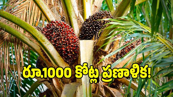 తెలంగాణ రైతులకు గుడ్ న్యూస్.. ఎకరానికి రూ.46,250 సబ్సిడీ..!