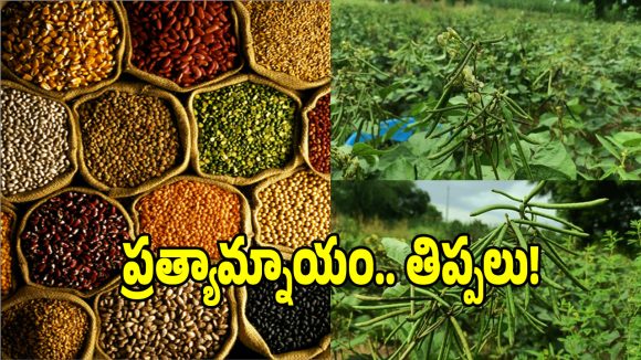 ప్రత్యామ్నాయ పంటలు వేసిన రైతులకు.. తెలంగాణ సర్కార్ షాకింగ్ న్యూస్..!