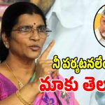 చంద్రబాబు విదేశీ పర్యటనలపై.. లక్ష్మీపార్వతి సంచలన వ్యాఖ్యలు!