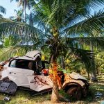 కొబ్బరి చెట్టుని ఢీ కొట్టిన కారు, స్పాట్ ఐదుగురు, తూర్పుగోదావరి జిల్లాలో ఘటన