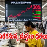షాపింగ్ ప్రియులకు ప్రయులకు పిడుగులాంటి వార్త.. త్వరలో భారీగా పెరగనున్న ధరలు!