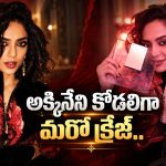 అక్కినేని కోడలు క్రేజ్ మాములుగా లేదుగా… ఏకంగా