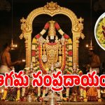పులిహోరను తిరుమలలో ఏమని పిలుస్తారో మీకు తెలుసా.. శ్రీవారి 45 రకాల ప్రసాదాలు ఇవే?
