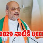 2029 నాటికి 21 NDA రాష్ట్రాల్లో యూనిఫామ్ సివిల్ కోడ్.. అమిత్ షా బిగ్ అనౌన్స్‌మెంట్!
