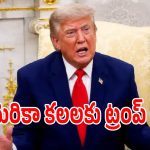 భారతీయ ఐటీ ఉద్యోగులకు బిగ్ షాక్.. వీసా ఫీజు పొడిగింపు!