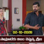 Ninnu kori Serial Today Episode October 2nd ‘నిన్ను కోరి’ సీరియల్‌: సామ్రాట్ ను  శ్రీజ మర్చిపోతుందా..? – మదన్ ప్లాన్ సక్సెస్ అవుతుందా..?    