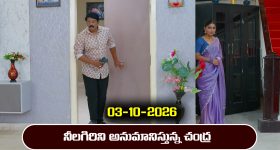 Ninnu kori Serial Today Episode October 3rd ‘నిన్ను కోరి’ సీరియల్‌: నీలగిరి నిజ స్వరూపం చంద్ర పసిగడుతుందా..?  
