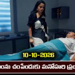 Nindu Noorella Saavasam Serial Today Episode October 10th ‘నిండు నూరేళ్ల సావాసం’ సీరియల్‌: సీతారాం ను మనోహరి చంపేస్తుందా..?  