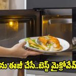 తక్కువ బడ్జెట్‌లో బెస్ట్ మైక్రోవేవ్ ఓవెన్..మీ ఇంటి అవసరాలకు ఏది బెస్ట్?
