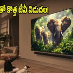 మార్కెట్‌ను షేక్ చేస్తున్న100 ఇంచుల టీవీ..ఇంతవరకూ ఏ టీవీలో లేని ఫీచర్లు