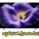 బంపర్ ఆఫర్..75 ఇంచుల టీవీపై కళ్లు చెదిరే డిస్కౌంట్