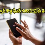 ఫోన్ స్విచ్ ఆఫ్ ఉన్నా వాట్సాప్ మెసేజ్ వెళ్తుంది! వాట్సాప్ నుంచి మరో కిర్రాక్ అప్‌డేట్!