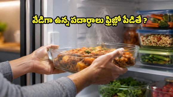 వేడి ఆహారాన్ని ఫ్రిజ్‌లో పెడుతున్నారా? ఈ పొరపాటు చేస్తే ప్రాణాలకే ప్రమాదం!