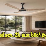 కరెంట్ బిల్లు సగానికి తగ్గాలా? ఈ BLDC ఫ్యాన్లు వాడితే బెస్ట్