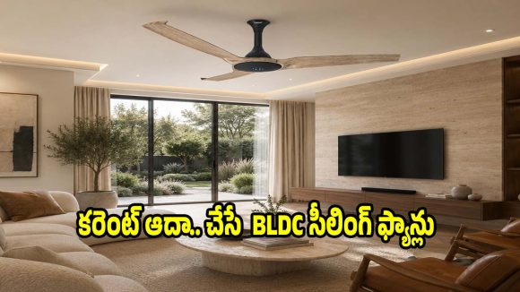కరెంట్ బిల్లు సగానికి తగ్గాలా? ఈ BLDC ఫ్యాన్లు వాడితే బెస్ట్
