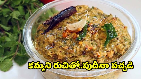 పుదీనా పచ్చడి ఇలా చేస్తే..అన్నం మొత్తం లాగించేస్తారు!