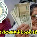 ఏపీ పింఛనుదారులకు బిగ్ అలర్ట్.. నవంబర్ 1 నుంచి మారిపోతున్న రూల్స్ ఇవే!