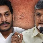 ఏపీ స్థానిక సంస్థల ఎన్నికలు.. 8 ఛైర్‌పర్సన్లు కూటమి ఏకగ్రీవం! కూలిన దశాబ్దాల నాటి కంచుకోటలు