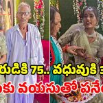 అమ్మబాబోయ్.. 75 ఏళ్ల తాతతో 30 ఏళ్ల యువతి పెళ్లి.. నిశ్చితార్థం వీడియో వైరల్!