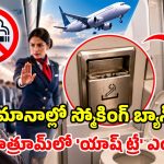 విమానాల్లో సిగరేట్‌పై నిషేధం.. కానీ బాత్రూమ్‌లో యాష్ ట్రేలు ఎందుకు? కారణం తెలిస్తే ఆశ్చర్యమే!