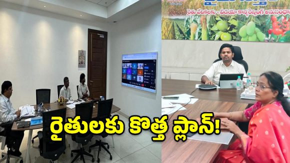 ఎల్‌నినో దెబ్బకు ప్రభుత్వం కీలక నిర్ణయం.. వరి స్థానంలో ఇవి వేస్తే కాసుల వర్షమే!