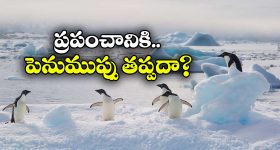ఎస్సీ, ఎస్టీ కమిషన్లకు ఈసీ తరహా పవర్స్ ఉండాలి: కల్వకుంట్ల కవిత