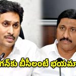 బీసీల ఎదుగుదల జగన్‌కు ఇష్టం లేదు: మంత్రి బీసీ జనార్ధన్ రెడ్డి