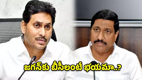 బీసీల ఎదుగుదల జగన్‌కు ఇష్టం లేదు: మంత్రి బీసీ జనార్ధన్ రెడ్డి