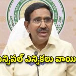 బీసీ రిజర్వేషన్లపై సుప్రీంకోర్టుకు ఏపీ ప్రభుత్వం.. మంత్రి నారాయణ కీలక ప్రకటన