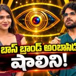 బ్రాండ్ అంబాసిడర్ గా షాలిని.. ఇదెక్కడి ట్విస్ట్ నాగ్ సార్!