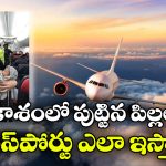 విమానంలో బిడ్డ పుడితే ఏ దేశ పౌరసత్వం వస్తుంది? రూల్స్ ఏం చెప్తున్నాయంటే?