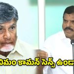 చంద్రబాబు మోసాలు, వెన్నుపోట్లకు స్వస్తి చెప్పాలి: బొత్స సత్యనారాయణ