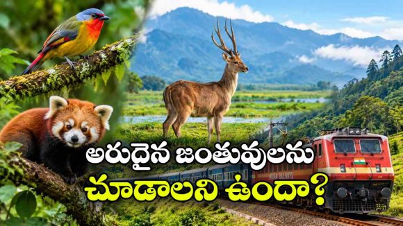 రూ.17 వేల నుంచే వైల్డ్‌ లైఫ్ టూర్.. ఈ 3 ప్లేసులు మిస్ అవ్వొద్దు!