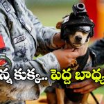 నేషనల్ గార్డ్‌ లో చిన్న కమాండో.. యూనిఫాం, తలకు హెల్మెట్ తో భలే ఉందిగా!