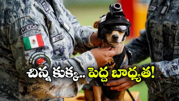 నేషనల్ గార్డ్‌ లో చిన్న కమాండో.. యూనిఫాం, తలకు హెల్మెట్ తో భలే ఉందిగా!