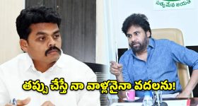 పోలవరం ఎమ్మెల్యేపై పవన్ కల్యాణ్ సీరియస్.. విచారణకు హైలెవెల్ కమిటీ ఏర్పాటు!