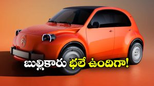 సిట్రోయెన్ నుంచి చౌకైన ఎలక్ట్రిక్ కారు.. లుక్ ఏంది భయ్యా ఇంత బాగుంది!
