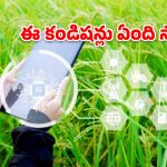 నెల దాటినా పూర్తికాని పంట సర్వే.. ప్రభుత్వం విధించిన గడువు నీటిమూటలేనా?