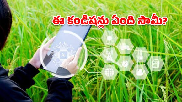 నెల దాటినా పూర్తికాని పంట సర్వే.. ప్రభుత్వం విధించిన గడువు నీటిమూటలేనా?
