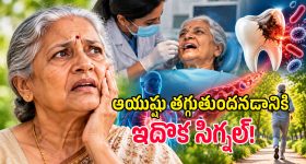 అనకొండ vs కొండ చిలువ.. పాముల్లో నిజమైన కింగ్ ఏది? దేని దమ్ము ఎంత?
