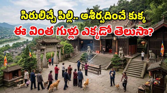 ఇదేందయ్యా ఇది.. కుక్కలు, పిల్లులకు ప్రత్యేక ఆలయాలు.. తరలివెళ్తున్న పెంపుడు జంతువులు!