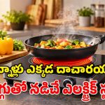 నో గ్యాస్.. నో స్మోక్.. బొగ్గుతో పనిచేసే ఎలక్ట్రిక్ కోల్ బర్నర్.. నిజంగా అదిరిపోయింది మామ!