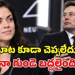 ‘ప్రాణం కంటే ఎక్కువగా ప్రేమించా’.. ఎలాన్ మస్క్ సడెన్ బ్రేకప్‌పై.. శివోన్ జిలిస్ తీవ్ర భావోద్వేగం!