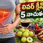 రోజూ ఈ 5 పదార్థాలు తింటే చాలు.. లివర్‌లో కొవ్వు చకచకా కరిగిపోతుంది!