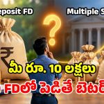 రూ. 10 లక్షల పెట్టుబడి.. సింగిల్ ఎఫ్‌డీ vs మల్టిపుల్ ఎఫ్‌డీలు.. అధిక రాబడికి ఏది బెస్ట్?
